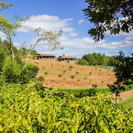 Hotel Rural Casa Samaioes 4*